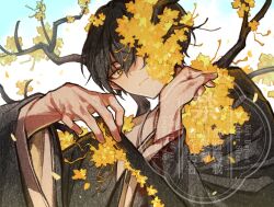 1boy black_hair branch closed_mouth coat e.g.o_(project_moon) flower flower_over_eye folding_fan grey_coat hair_flower hair_ornament hand_fan hands_up highres holding holding_fan limbus_company lob_juice long_sleeves looking_at_viewer male_focus plant_wings project_moon simple_background solo spicebush_(e.g.o) technology_liberation_alliance_(identity)_(project_moon) white_background wide_sleeves wings yellow_eyes yellow_flower yi_sang_(project_moon)