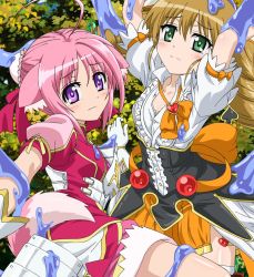 Rule 34 | 10s, animal ears, anime screenshot, blonde hair, dog days, dog ears, dog tail, green eyes, highres, millhiore f. biscotti, open clothes, pink hair, rebecca anderson, tail, twintails