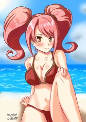 1girl 2017 artist_name beach bikini blue_sky blush body_blush breasts cleavage cloud dated fire_emblem fire_emblem_echoes:_shadows_of_valentia hand_on_knee highres large_breasts long_hair looking_at_viewer mae_(fire_emblem) navel nintendo ocean pink_hair red_bikini red_eyes sand sitting sky smile solo swimsuit tsuntail twintails water