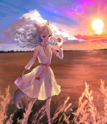 1girl alpha_(alpha_1918) animal_ear_fluff animal_ears artist_request braid breasts cloud drawfag dress field floating_hair hair_ribbon hand_in_own_hair highres light_particles long_hair long_sleeves looking_at_viewer original red_eyes red_sash ribbon russian_clothes sash scenery shiny_skin single_braid slavic_clothes small_breasts smile solo sundress sunlight sunset tail traditional_dress vinok vyshyvanka waist_sash white_dress white_hair wolf_ears wolf_girl wolf_tail