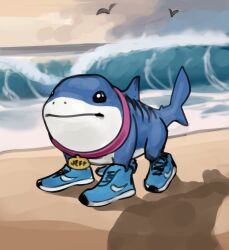 Rule 34 | ai-generated art (topic), animal, animal collar, beach, bird, black eyes, character name, closed mouth, cloud, cloudy sky, collar, cosplay, dusk, great white shark, italian brainrot ai animals (meme), jeff (marvel), marvel, marvel rivals, meme, ocean, sciamano240, seagull, shark, shoes, sky, sneakers, solo, standing, sunset, tralalero tralala, tralalero tralala (cosplay)