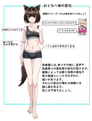 3girls absurdres animal_ears arknights barefoot brown_hair cat_ears cat_tail full_body hairband hand_on_own_chest highres looking_at_viewer multiple_girls namonaki_yuchan orange_eyes rhodes_island_medic_(arknights) shamare_(arknights) short_hair speech_bubble sports_bra standing suzuran_(arknights) tail translation_request underwear underwear_only