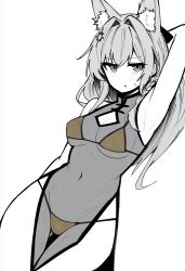 1girl alternate_costume animal_ear_fluff animal_ears arknights arm_behind_back arm_behind_head arm_up armpits bikini breasts china_dress chinese_clothes cleavage cleavage_cutout clothing_cutout cowboy_shot dress golden_week greyscale hair_intakes highres light_blush long_hair looking_at_viewer makigirisu medium_breasts monochrome navel parted_lips pelvic_curtain pozyomka_(arknights) see-through_clothes see-through_dress side_slit simple_background sleeveless sleeveless_dress solo spot_color standing sweatdrop swimsuit white_background yellow_bikini