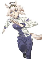 Rule 34 | 1girl, ahoge, animal ears, blue eyes, brown hair, dirty, dirty clothes, grey hair, highres, horse ears, horse girl, horse tail, jacket, kasamatsu tracen training uniform, long hair, multicolored hair, multicolored jacket, oguri cap (umamusume), pants, purple jacket, purple pants, running, simple background, solo, streaked hair, tail, two-tone jacket, umamusume, umamusume: cinderella gray, white background, white jacket, wqdofjpeqs63235