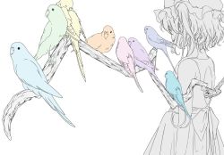 Rule 34 | 1girl, arms at sides, backless dress, backless outfit, bare arms, bare shoulders, bird, branch, dress, embodiment of scarlet devil, facing away, female focus, flandre scarlet, from behind, hat, mob cap, partially colored, perspective, preening, ribbon, short hair, simple background, solo, standing, touhou, touya (tottoo-to), white background