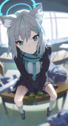 1girl animal_ear_fluff animal_ears aqua_eyes aqua_scarf black_skirt blue_archive blue_halo blue_jacket blurry chiyo_kami classroom closed_mouth commentary_request depth_of_field desk fisheye gloves green_gloves grey_hair halo highres jacket long_sleeves looking_at_viewer medium_hair mismatched_pupils on_table pleated_skirt scarf school_desk school_uniform shiroko_(blue_archive) shirt sitting skirt socks solo table v_arms white_shirt white_socks wolf_ears