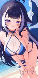 1girl :3 absurdres animal_collar beach black_hair blue_collar blue_nails body_markings breasts cetacean_tail cleavage cloud collar facial_mark fins fish_tail hands_on_own_thighs highres indie_virtual_youtuber leaning_forward long_hair milk_tea_1993 ocean orca_girl purple_eyes shylily shylily_(bikini) sky solo tail virtual_youtuber white_hair