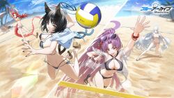 Rule 34 | 4girls, animal ear fluff, animal ears, bangs pinned back, bare arms, bare shoulders, barefoot, beach, beach volleyball, bikini, black bikini, black eyes, black hair, black nails, blue archive, blue bikini, blue haori, blush, bracelet, breasts, cat ears, cat girl, cat tail, cleavage, closed mouth, denim, denim shorts, dragon girl, dragon horns, dragon tail, eyewear on head, famepeera, flower, groin, hair flower, hair ornament, hairband, haori, horns, japanese clothes, jewelry, jumping, kikyou (blue archive), kikyou (swimsuit) (blue archive), large breasts, long hair, multiple bracelets, multiple girls, multiple tails, nagusa (blue archive), nagusa (swimsuit) (blue archive), navel, ocean, official alternate costume, official alternate hairstyle, official art, open clothes, open mouth, open shorts, orange hairband, pale skin, parted bangs, ponytail, purple-framed eyewear, purple eyes, purple hair, red eyes, red flower, red hair, renge (blue archive), renge (swimsuit) (blue archive), sandals, shirt, short hair, short shorts, short sleeves, shorts, single horn, stomach, sunglasses, swimsuit, tail, two tails, white bikini, white eyes, white hair, white haori, white shirt, yellow bikini, yukari (blue archive), yukari (swimsuit) (blue archive)