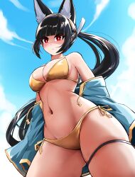 1girl absurdres animal_ear_fluff animal_ears bikini black_hair blue_sky breasts closed_mouth commentary cowboy_shot english_commentary fox_ears fox_girl gold_bikini green_jacket highres hoshimi_miyabi jacket large_breasts long_hair navel outdoors paid_reward_available partially_shaded_face red_eyes side-tie_bikini_bottom sky slash-ex solo stomach swimsuit thigh_strap thighhighs zenless_zone_zero