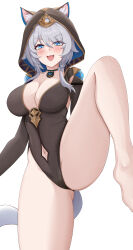 1girl absurdres animal_ear_fluff animal_ears animal_hood black_leotard blue_eyes blush breasts cat_ears cat_girl cat_hood cat_tail cipher_(honkai:_star_rail) cleavage clothing_cutout commentary_request fang grey_hair groin highres honkai:_star_rail honkai_(series) hood hooded_leotard izumiillus large_breasts leg_up leotard looking_at_viewer mole mole_on_breast navel navel_cutout open_mouth short_hair_with_long_locks simple_background skin_fang solo standing standing_on_one_leg tail thighs white_background