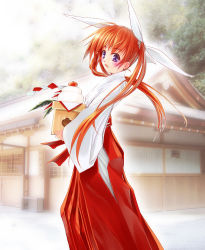 Rule 34 | 00s, 1girl, bad id, bad pixiv id, blue eyes, blush, brown hair, female focus, highres, japanese clothes, long hair, lyrical nanoha, mahou shoujo lyrical nanoha, miko, nature, outdoors, purple eyes, solo, takamachi nanoha, tom (1art.), twintails
