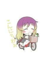 1girl bicycle blonde_hair closed_eyes female_focus hijiri_byakuren purple_hair radish solo text_focus touhou white_background zannen_na_hito