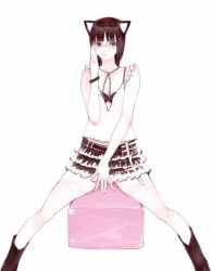 1girl animal_ears bra brown_eyes brown_hair cat_ears es es_(cah60700) female_focus flat_chest glasses lingerie original pale_skin short_hair skirt solo spread_legs thighhighs underwear