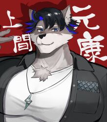 1boy absurdres animal_ear_piercing bara blue_eyes closed_mouth covered_pectorals fingernails furry furry_male grey_fur grey_jacket highres indie_virtual_youtuber jacket jewelry male_focus motoyasu_kamima multicolored_hair necklace pectorals red_background satogaku shadow shirt short_hair solo streaked_hair translation_request virtual_youtuber white_shirt wolf_boy