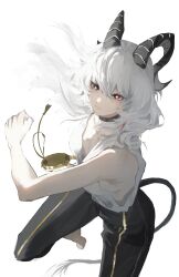 1girl absurdres bare_shoulders barefoot black_choker black_horns black_pants black_tail breasts bright_pupils choker commentary curled_horns elyzerda floating_hair hair_between_eyes highres horns long_hair looking_at_viewer medium_breasts pants red_eyes shirt simple_background solo tight_clothes tight_pants white_background white_hair white_pupils white_shirt wuthering_waves zani_(wuthering_waves)