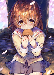1girl absurdres antenna_hair blue_skirt blush brown_hair cherry_blossoms clannad commentary_request dorayaki eating falling_petals food furukawa_nagisa highres hikarizaka_private_high_school_uniform holding holding_food looking_at_viewer okubatomaeba outdoors petals sailor_collar school_uniform serafuku shirt sitting skirt solo wagashi white_sailor_collar yellow_shirt