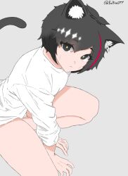 Rule 34 | 1girl, animal ear fluff, animal ears, black eyes, black hair, black tail, bow-shaped hair, cat ears, cat tail, commentary, english commentary, grey background, highres, joints, jun (my dystopian robot girlfriend), kemonomimi mode, koltra077, long sleeves, looking at viewer, my dystopian robot girlfriend, robot, robot girl, robot joints, shirt, short hair, simple background, solo, squatting, tail, thighs, twitter username, white shirt, yellow pupils
