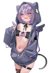 1girl absurdres alternate_costume animal_ears animal_hood bandaid bandaid_on_face black_bra black_choker black_thighhighs blush bra breasts cat_ears cat_hood cat_tail chest_jewel choker grey_hair grey_jacket highres hololive hololive_english hood hooded_jacket inurock jacket koseki_bijou looking_at_viewer navel open_clothes open_jacket open_mouth purple_eyes short_hair small_breasts solo stomach tail thigh_strap thighhighs torn_clothes torn_thighhighs underwear virtual_youtuber