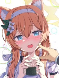 1boy 1girl animal_ear_fluff animal_ears blue_archive blue_eyes blush embarrassed flower food food_on_face gym_shirt gym_uniform hair_flower hair_ornament hairband halo highres holding holding_food long_hair looking_at_viewer mari_(blue_archive) mari_(track)_(blue_archive) mikoshi_(user_wvyd4348) nose_blush official_alternate_costume onigiri orange_hair pov rice rice_on_face sensei_(blue_archive) shirt white_flower white_hairband yellow_halo