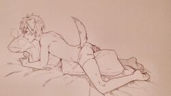 Rule 34 | 1boy, animal ears, breath, chocolatebeverage, dog boy, dog ears, dog tail, male masturbation, masturbation, pillow, pillow humping, tachibana makoto, tail