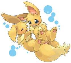 Rule 34 | blue eyes, brown fur, choko (sweetpocket), closed eyes, commentary request, creature, creature focus, eevee, full body, gen 1 pokemon, happy, looking at another, nintendo, no humans, open mouth, pawpads, pokemon, pokemon (creature), smile, white background