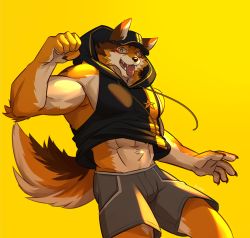 1boy :p abs absurdres animal_ears bara bare_shoulders barrel_(live_a_hero) baseball_cap beige_fur black_hoodie black_shirt brown_fur bulge dog_boy dog_ears dog_tail feet_out_of_frame furry furry_male grey_shorts hat highres hood hoodie large_pectorals lethargy_(ruutaji) live_a_hero looking_at_viewer male_focus midriff_peek muscular muscular_male navel orange_fur pectorals shirt shorts sidepec sleeveless sleeveless_hoodie solo tail tongue tongue_out