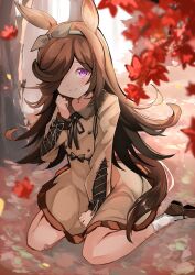 1girl animal_ears autumn_leaves between_legs black_ribbon blurry blurry_foreground brown_dress brown_hair brown_shoes closed_mouth collared_dress commentary_request depth_of_field dress full_body hair_over_one_eye hand_between_legs highres horse_ears horse_girl horse_tail leaf long_hair long_sleeves neck_ribbon on_ground outdoors puffy_long_sleeves puffy_sleeves red_eyes ribbon rice_shower_(umamusume) shi_(kamokamo910) shoes sitting smile socks solo tail tree umamusume very_long_hair wariza white_socks
