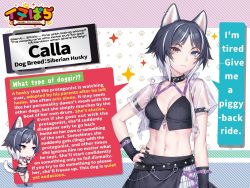 1girl abs animal_ears black_hair blue_eyes blush breasts calla_(inupara) chibi collar dog_ears dog_girl dog_tail english_text fishnet_legwear fishnets gloves heterochromia highres husky inupara jacket navel non-web_source orange_eyes pale_skin sayori_(neko_works) skirt tail white_hair