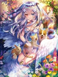 1girl angel_wings animal bare_legs bird black_eyes blue_eyes blue_ribbon cat closed_eyes closed_mouth colorful day dog dress english_text fangs flower grey_hair grey_ribbon hair_between_eyes hair_flower hair_ornament hair_ribbon halo hamster hand_on_animal heterochromia highres leaf blue_ribbon long_hair looking_at_viewer looking_down nail_polish orange_flower original petting plant porcupine purple_flower purple_nails rabbit red_eyes red_flower ribbon rose samo_cha seiza shirt sitting sleeveless sleeveless_dress smile tongue tongue_out watermark welsh_corgi white_flower white_hair white_ribbon white_rose white_shirt white_wings wings yellow_flower