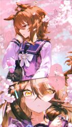 2girls :&lt; absurdres agnes_tachyon_(umamusume) ahoge animal_ears black_hair blush box brown_hair cherry_blossoms confession ear_tag hair_between_eyes heart heart-shaped_box highres horse_ears horse_girl horse_tail kumano_iroha long_hair long_hair_between_eyes long_sleeves manhattan_cafe_(umamusume) medium_hair multiple_girls outdoors purple_sailor_collar purple_shirt red_eyes sailor_collar school_uniform shirt speech_bubble tail tracen_school_uniform translation_request umamusume upper_body yellow_eyes
