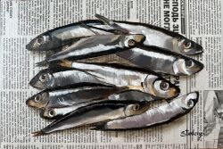 absurdres fish food food_focus highres julia_stankevych newspaper no_humans oil_painting_(medium) original painting_(medium) photo_(medium) realistic sardine signature still_life traditional_media wall_of_text