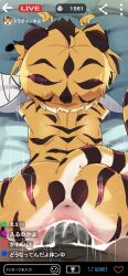 1boy 1girl absurdres animal_ears anus commentary cum cum_in_pussy cum_overflow dagasi fake_phone_screenshot fake_screenshot furry furry_female furry_male furry_with_furry hetero highres large_penis large_variant_set livestream loli original penis pussy sex short_hair tail tiger_ears tiger_girl tiger_tail translation_request uncensored vaginal variant_set