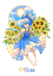 Rule 34 | 1girl, absurdres, barefoot, blue bow, blue dress, blue eyes, blue hair, bow, chinese commentary, chinese text, cirno, collared shirt, commentary request, detached wings, dress, flower, full body, hair bow, highres, holding, holding flower, ice, ice wings, looking at viewer, medium hair, minuo, neck flower, neck ribbon, one eye closed, open mouth, pinafore dress, puffy short sleeves, puffy sleeves, red ribbon, ribbon, shirt, short sleeves, sleeveless, sleeveless dress, smile, solo, summer, sun, sunflower, toes, touhou, translation request, white shirt, wings, yellow flower