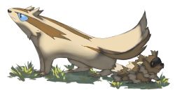 blue_eyes brown_eyes claws closed_mouth commentary creature english_commentary evolutionary_line full_body gen_3_pokemon grass linoone nintendo no_humans pinkgermy pokemon pokemon_(creature) simple_background standing striped white_background zigzagoon