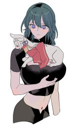 1girl 2girls b_(wldms6650) bad_link blue_eyes blue_hair blush breasts cat crop_top edelgard_von_hresvelg female_byleth_(fire_emblem) fire_emblem fire_emblem:_three_houses highres large_breasts long_hair multiple_girls navel nintendo purple_eyes simple_background solo white_background yuri