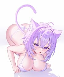 1girl :3 :d absurdres ahoge all_fours animal_ears bikini blurry breasts cat_ears cat_girl cat_tail cleavage commentary crossed_bangs demcheg double-parted_bangs fang full_body hair_between_eyes highres hololive large_breasts looking_at_viewer messy_hair nekomata_okayu open_mouth purple_eyes purple_hair short_hair skin_fang smile solo striped_bikini striped_clothes swimsuit tail virtual_youtuber white_bikini