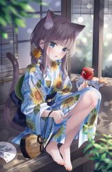 1girl absurdres animal_ear_fluff animal_ears barefoot blue_eyes blurry blurry_foreground blush candy_apple cat cat_ears cat_girl cat_tail extra_ears floral_print flower food full_body hair_flower hair_ornament hand_fan highres holding holding_food japanese_clothes jimmy_madomagi kimono knees_up long_hair long_sleeves looking_at_viewer nail_polish obi orange_nails original paper_fan parted_lips plant print_kimono sash sitting smile solo striped_clothes striped_kimono sunflower_print tail tail_raised toenail_polish toenails uchiwa veranda vertical-striped_clothes vertical-striped_kimono white_flower wide_sleeves wooden_floor yellow_flower yukata