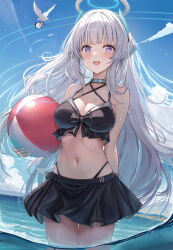 Rule 34 | 1boy, 1girl, absurdres, alternate costume, animal, ball, beachball, bikini, bikini day, bird, black bikini, blue archive, blunt bangs, blush, breasts, cleavage, commentary request, dasiu, day, doodle sensei (blue archive), grey hair, halo, halterneck, headgear, highres, holding, holding ball, holding beachball, large breasts, long hair, mechanical halo, noa (blue archive), open mouth, outdoors, purple eyes, sensei (blue archive), smile, swimsuit, upper body, wading