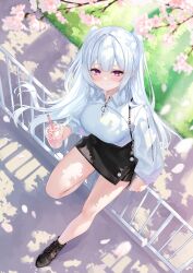 1girl absurdres black_shoes black_skirt blurry blush breasts center-flap_bangs cherry_blossoms closed_mouth commentary_request depth_of_field drink drinking_straw from_below grass highres holding holding_drink long_hair looking_at_viewer original partial_commentary petals purple_eyes rissenka rooftop shirt shoes skirt solo white_hair white_shirt zipper
