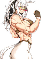Rule 34 | 1girl, abs, absurdres, alternate costume, alternate hairstyle, alternate muscle size, animal ears, ass, biceps, biwa hayahide (umamusume), black gloves, black sports bra, breasts, fingerless gloves, flexing, glasses, gloves, grey hair, highres, horse ears, horse girl, horse tail, large breasts, long hair, looking at viewer, minew, muscular, muscular female, pants, ponytail, red-framed eyewear, semi-rimless eyewear, simple background, solo, sports bra, sweat, sweatdrop, tail, umamusume, under-rim eyewear, white background, white pants, yellow eyes