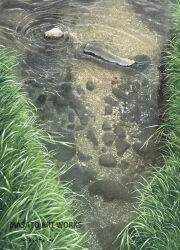 Rule 34 | artist name, commentary request, day, grass, highres, no humans, original, outdoors, painting (medium), realistic, ripples, river, rock, scenery, traditional media, watanabe masato, water, watercolor (medium)