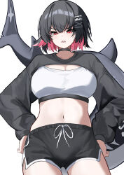 1girl absurdres black_choker black_hair black_shirt black_shorts breasts choker colored_inner_hair cowboy_shot crop_top dolphin_shorts drawstring ellen_joe fahufahu fins fish_tail hair_ornament hairclip hands_on_own_hips highres large_breasts looking_at_viewer midriff mole mole_under_eye multicolored_hair navel pink_hair red_eyes shark_tail sharp_teeth shirt short_hair short_shorts shorts simple_background solo stomach tail tail_raised teeth two-tone_hair v-shaped_eyebrows white_background white_shirt x_hair_ornament zenless_zone_zero