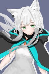 Rule 34 | 1girl, animal ear piercing, animal ears, arknights, black cape, blue cape, cape, closed mouth, colored eyelashes, commentary, dress, drop shadow, floating hair, green eyes, grey dress, grey hair, highres, hood, hood down, hooded cape, long hair, looking at viewer, m s s c 22, one-hour drawing challenge, purple background, rosmontis (arknights), simple background, solo, staring