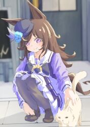 1girl animal animal_ears animal_nose black_bow black_bowtie black_pantyhose black_shoes blue_flower blue_hat blurry blurry_background bow bowtie brown_hair cat cat_ears cat_tail closed_mouth commentary_request dress flower hat hat_feather hat_flower hat_ornament highres horse_ears horse_girl horse_tail long_hair long_sleeves looking_at_animal mini_hat pantyhose petting puffy_long_sleeves puffy_sleeves purple_dress purple_eyes rice_shower_(umamusume) sailor_collar shadow shoes sidelocks smile squatting tail takoyaki_(takoyaki_draw) umamusume white_cat