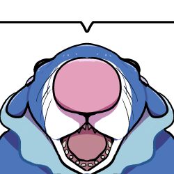 animal_focus bad_tag black_eyes blank_speech_bubble blue_fur boke-chan clown_nose floppy_ears gen_7_pokemon nintendo no_humans open_mouth perspective pokemon pokemon_(creature) popplio sea_lion sharp_teeth simple_background snout speech_bubble straight-on teeth tongue transparent_background whiskers