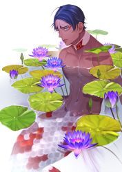 1boy abs dark-skinned_male dark_skin detached_collar flower garamgum golden_kamuy koito_otonoshin lily_pad looking_at_viewer male_focus merman monster_boy navel nipples partially_submerged pectorals plant purple_eyes purple_hair scales short_hair solo toned toned_male water