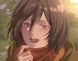 Rule 34 | 1girl, black hair, blurry, blurry background, blush, commentary request, grass, hair between eyes, happy tears, highres, looking at viewer, mikasa ackerman, open mouth, outdoors, pa hoi2, portrait, red scarf, scarf, shingeki no kyojin, short hair, solo, tears, twitter username, upper body