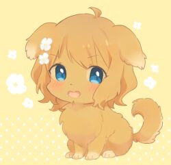 ahoge animal animal_focus animalization blue_eyes blush brown_fur brown_hair dog flower full_body hair_flower hair_ornament idolmaster idolmaster_million_live! looking_at_viewer nako_(user_wnnm5534) no_humans open_mouth short_hair sitting solo suou_momoko white_flower yellow_background