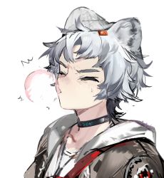 1boy animal_ears arknights bag bear_boy bear_ears bishounen blush chewing_gum choker close-up closed_eyes grey_hair highres infection_monitor_(arknights) jacket male_focus qanipalaat_(arknights) short_hair simple_background solo upper_body white_background yyb