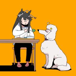 Rule 34 | 1girl, animal ears, animalization, bandaid, bandaid on face, bandaid on nose, biwa hayahide (umamusume), black pants, chopsticks, closed eyes, closed mouth, commentary request, dog, food, full body, high ponytail, holding, holding chopsticks, horse ears, horse girl, horse tail, long hair, narita brian (umamusume), o3o, onikobe rin, orange background, pants, ponytail, poodle, red-framed eyewear, shirt, sidelocks, simple background, solo, table, tail, umamusume, white shirt